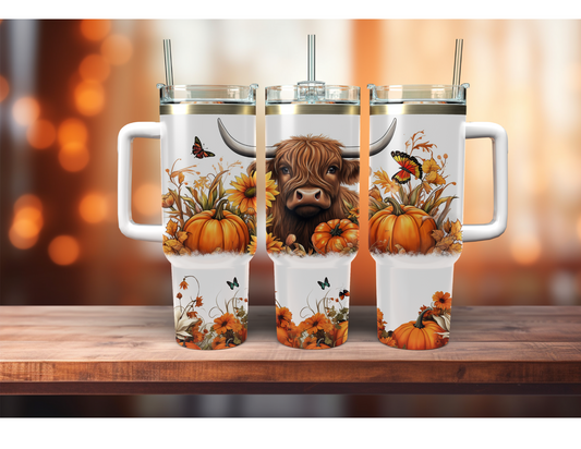 Highland cow and pumpkins